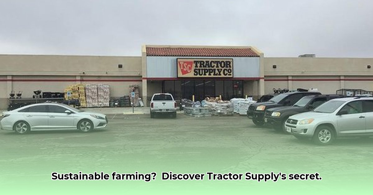 tractor-supply-catalina-az